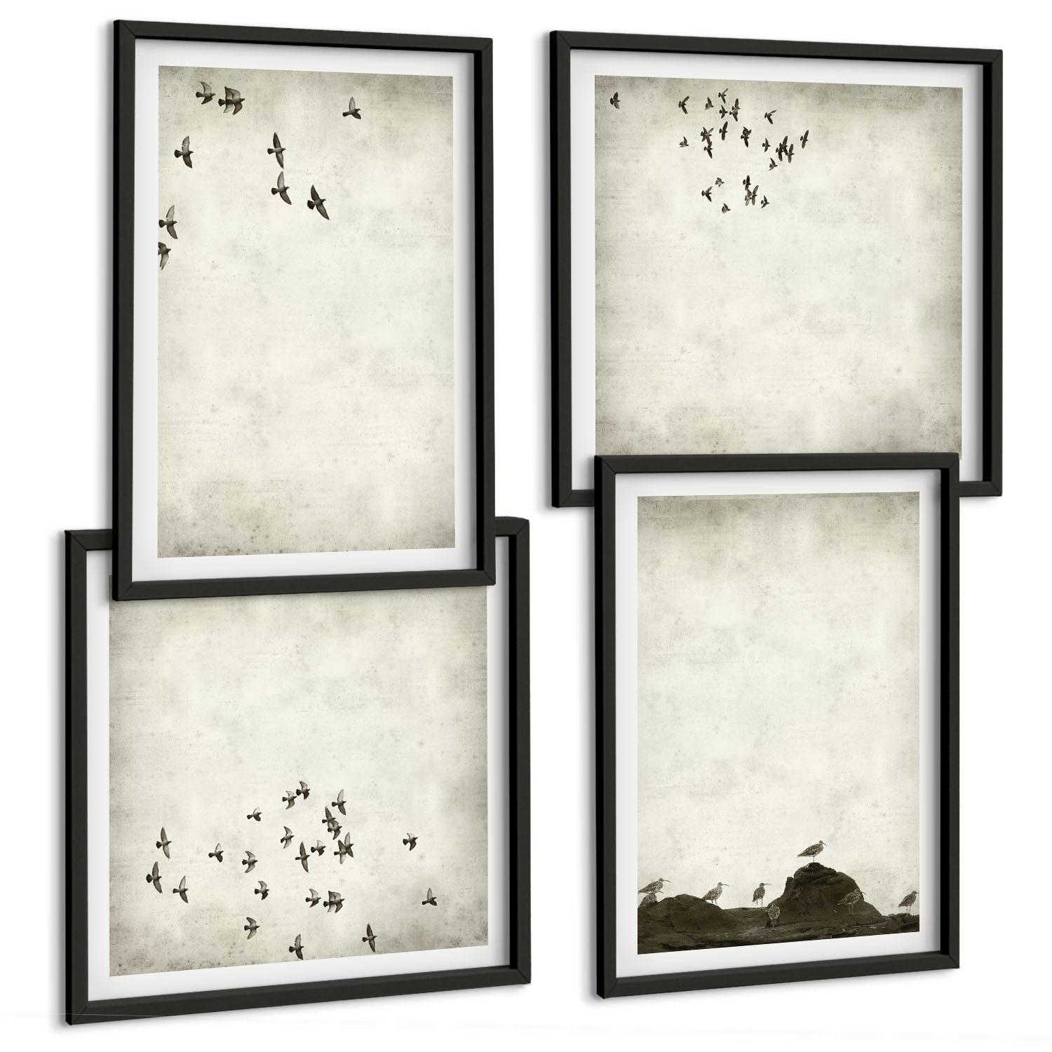 BILDER SET 4er Set - 50x50 cm & 40x60 cm Schwarzer Rahmen - Minimalistische Vogelmalerei - Schwarz, Kunststoff (50/50cm) - TULUP