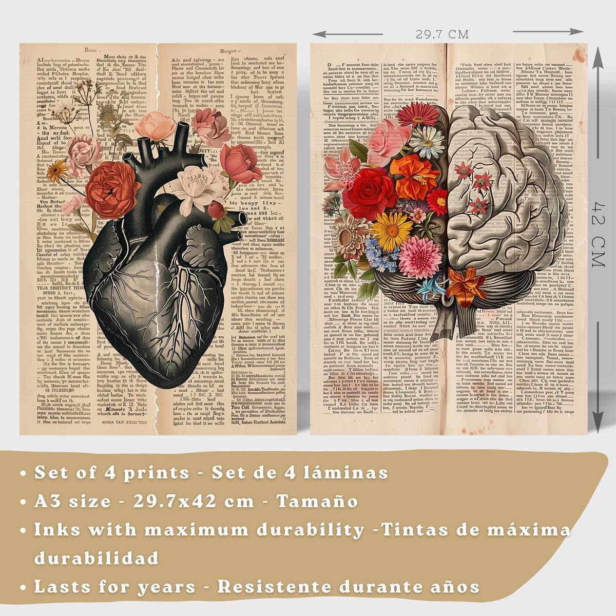 POSTER Set aus 4 Anatomie Drucke und Wandbilder mit Herz Gehirn Skelett und Darm Antiker Hintergrund Wanddekoration Größe Schwarzer Rahmen A3 - Schwarz, Papier (29.7/42/3cm) - Nacnic