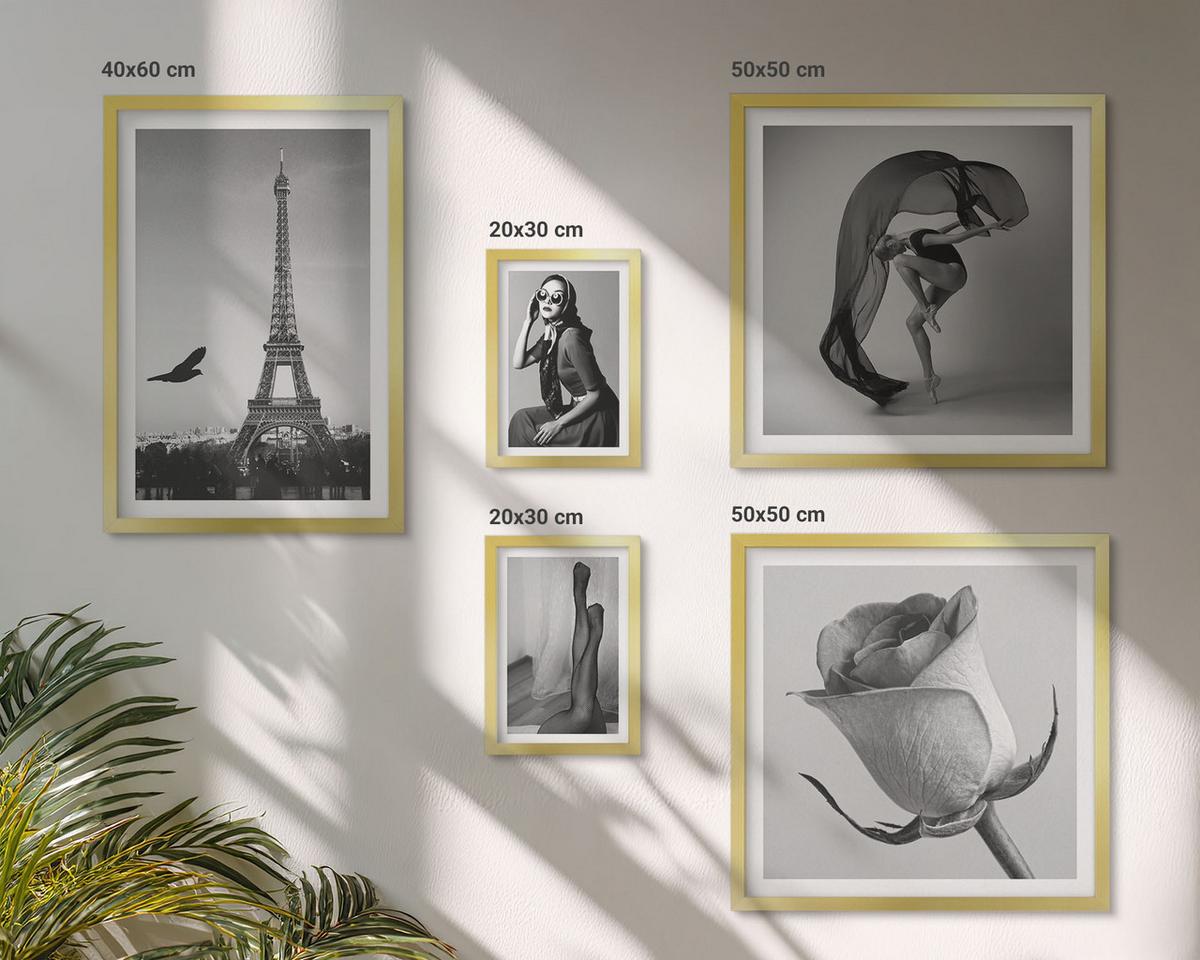BILDER SET 5er Set - 50x50 cm & 20x30 cm & 40x60 cm Goldrahmen - Stilvolle Porträts eleganter Frauen - Goldfarben, Kunststoff (40/60cm) - TULUP