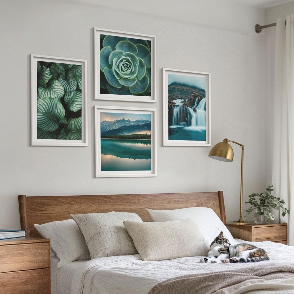 BILDER SET 4er Set - 50x50 cm & 40x60 cm Weißer Rahmen - Nahaufnahmen von Blättern sukkulenter Pflanzen - Weiß, Kunststoff (50/50cm) - TULUP