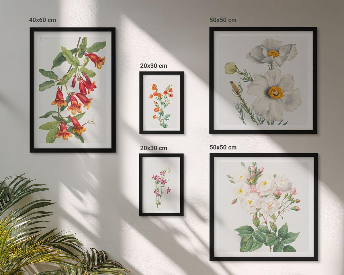 BILDER SET 5er Set - 50x50 cm & 20x30 cm & 40x60 cm Schwarzer Rahmen - Blumenmalerei im Retro-Stil - Schwarz, Kunststoff (40/60cm) - TULUP