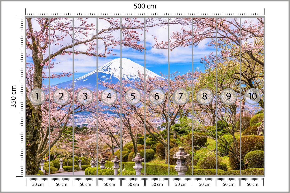 FOTOTAPETE für Wohnzimmer Peace Park Fuji View Kirschblüten 500x350 - Rosa/Braun, Papier (500/350cm) - Muralo