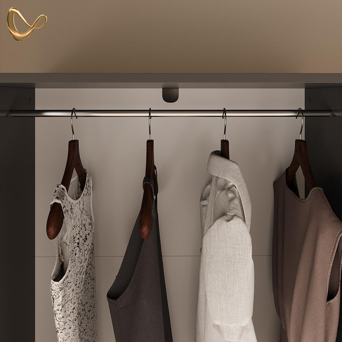 KLEIDERSCHRANK Trento Anthrazit - Anthrazit, Holzwerkstoff (80/200/50cm) - Livinity®