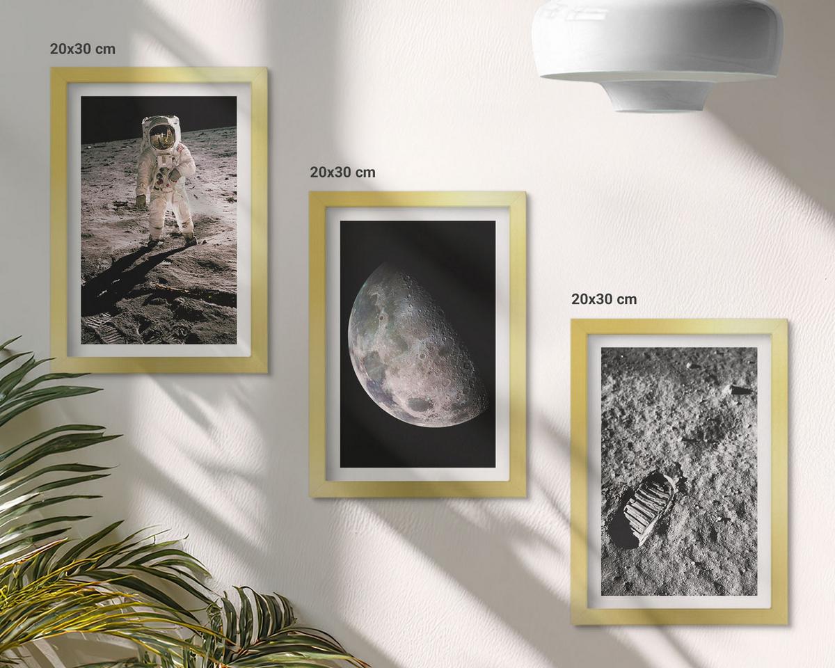 BILDER SET 3er Set - 20x30 cm Goldrahmen - Astronautenfoto vom Mond - Goldfarben, Kunststoff (20/30cm) - TULUP