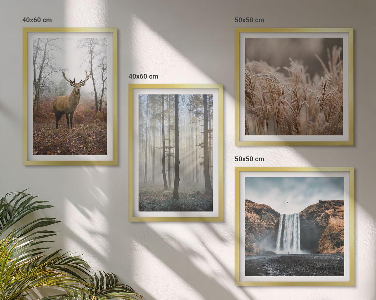 BILDER SET 4er Set - 50x50 cm & 40x60 cm Goldrahmen - Waldlandschaften der Wildnis - Goldfarben, Kunststoff (50/50cm) - TULUP