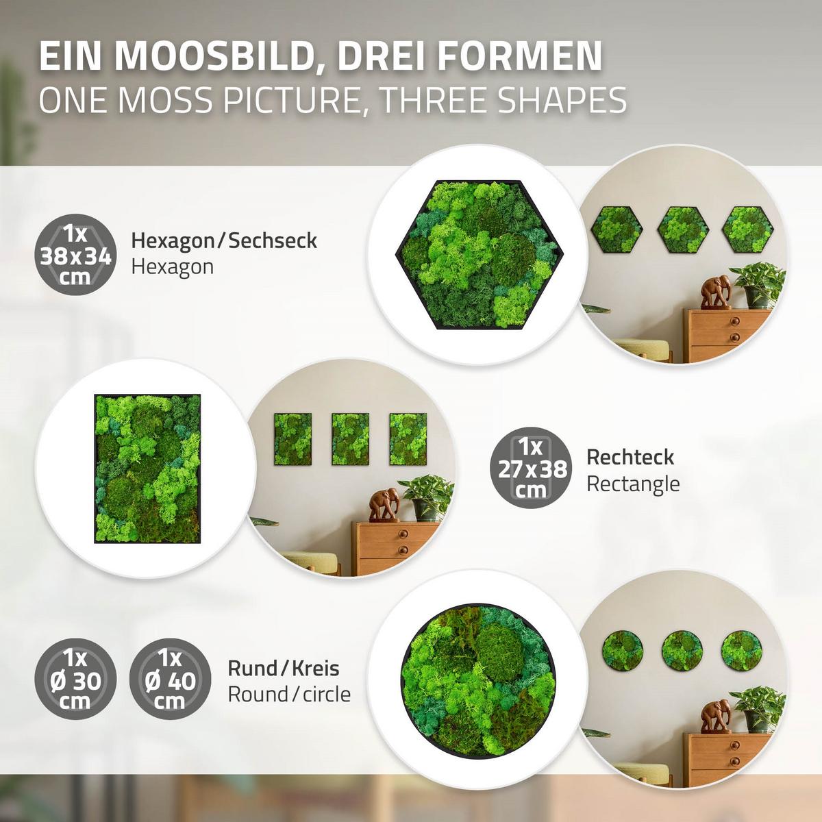 MOOSBILD Rechteck 38 x 27 cm Mooswand Indoor mit echtem echtem Kugelmoos-Islandmoos-Flachmoos-Mix und Holzrahmen Grün - Waldgrün, Naturmaterialien (27/38/3.5cm) - ECD-Germany