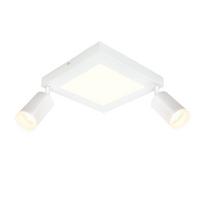 DECKENSTRAHLER Blaubeuren 2-flammig 25/8/16.9 cm - Weiß, Metall (25/8/16.9cm) - Nettlife