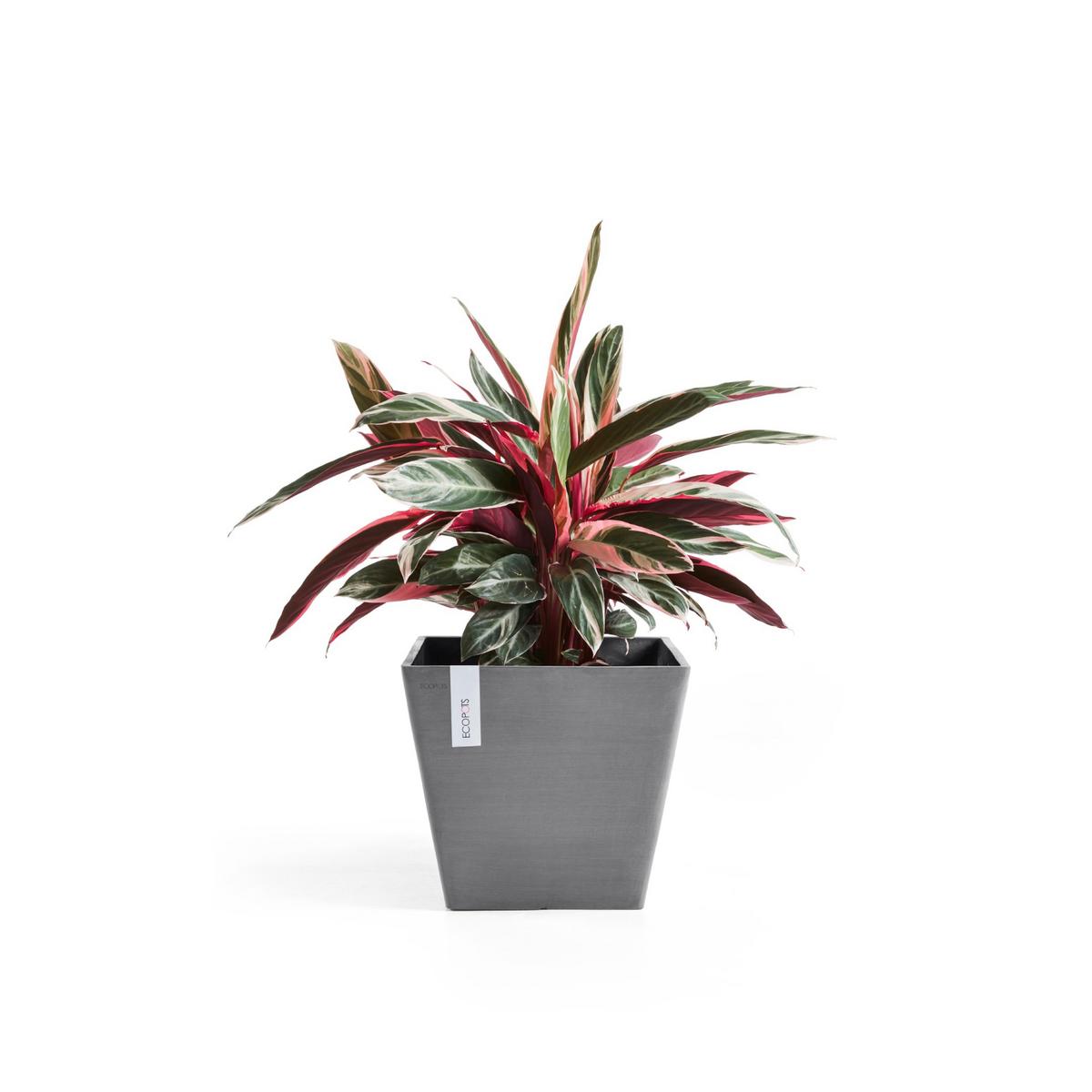 BLUMENTOPF Rotterdam 40,1/40,1/35,5 cm Grau - Grau, Kunststoff (40.1/35.5cm) - Ecopots