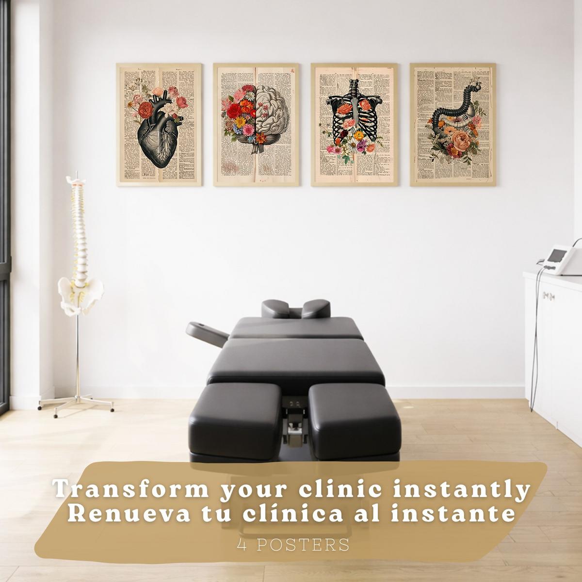 POSTER Set aus 4 Anatomie Drucke und Wandbilder mit Herz Gehirn Skelett und Darm Antiker Hintergrund Wanddekoration Größe Leichter Holzrahmen A4 - Beige, Papier (21/29.7/3cm) - Nacnic