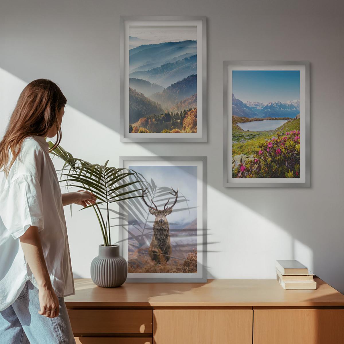 BILDER SET 3er Set - 40x60 cm Silberner Rahmen - Natur des Bergseehirsches - Silberfarben, Kunststoff (40/60cm) - TULUP