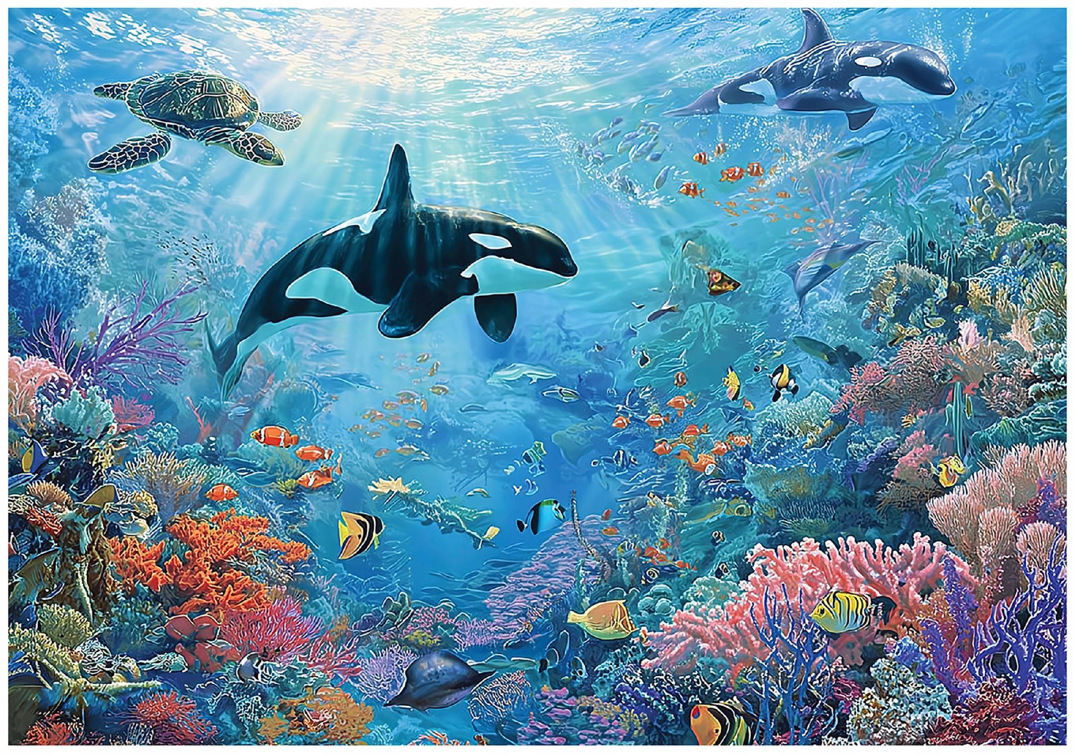 FOTOTAPETE Ozean Korallenriff Blau 150x105 cm - Multicolor, Papier (150/105cm) - Wallarena