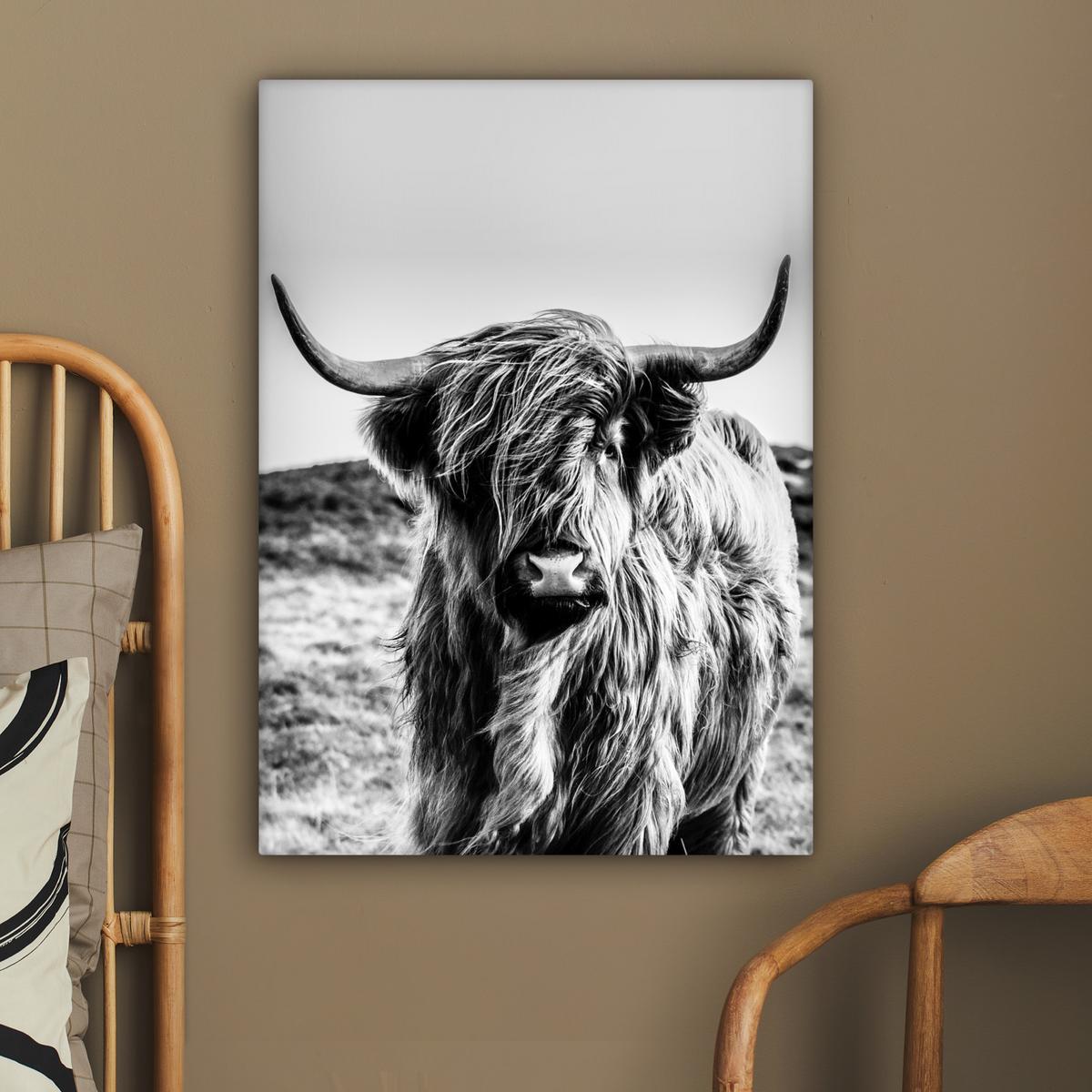 LEINWANDBILD Kuh - Schottischer Hochländer - Schwarz - Weiß - Tier - Natur - Wildtiere Wandbild Wohnzimmer 60x80 cm - Schwarz, Textil (60/80cm) - MuchoWow
