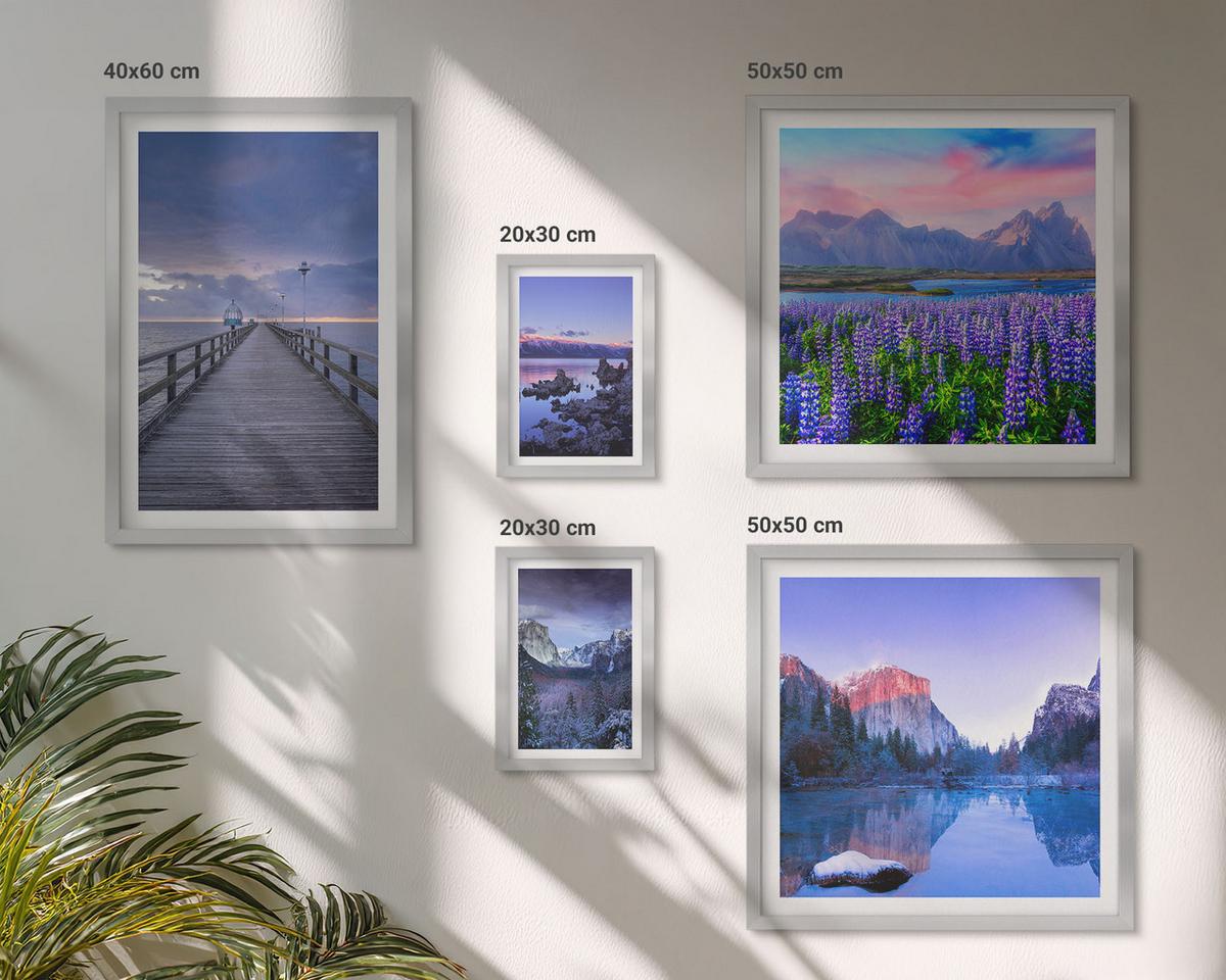 BILDER SET 5er Set - 50x50 cm & 20x30 cm & 40x60 cm Silberner Rahmen - Berglandschaften, Wasser, Blumenfeld - Silberfarben, Kunststoff (40/60cm) - TULUP
