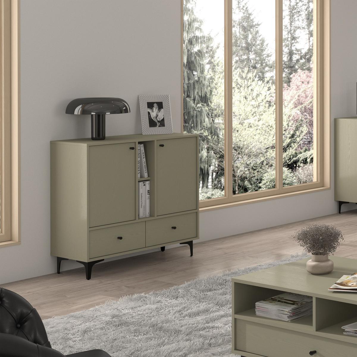 KOMMODE TORINO 100/94/41 cm mit 2 Schubladen 2 Türen Hellgrün - Hellgrün, Holzwerkstoff (100/94/41cm) - MASSENO