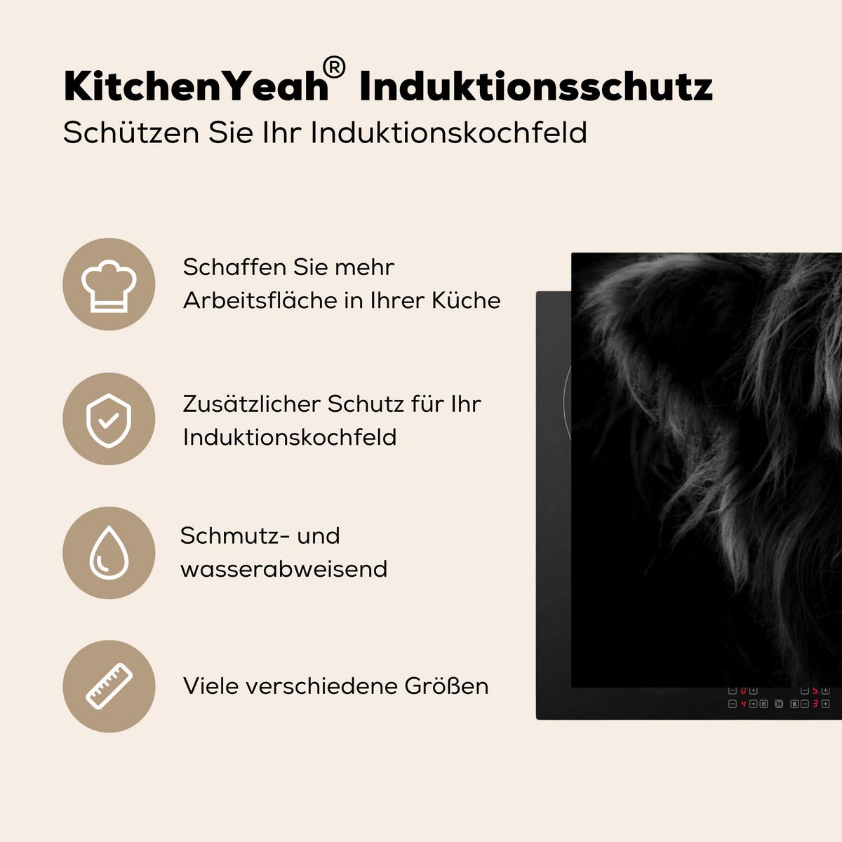 HERDABDECKPLATTE Schottischer Highlander - Kuh - Schwarz - Weiß - Tiere Induktionsschutz 91.2x52 cm - Schwarz, Kunststoff (91.2/52/0.2cm) - MuchoWow