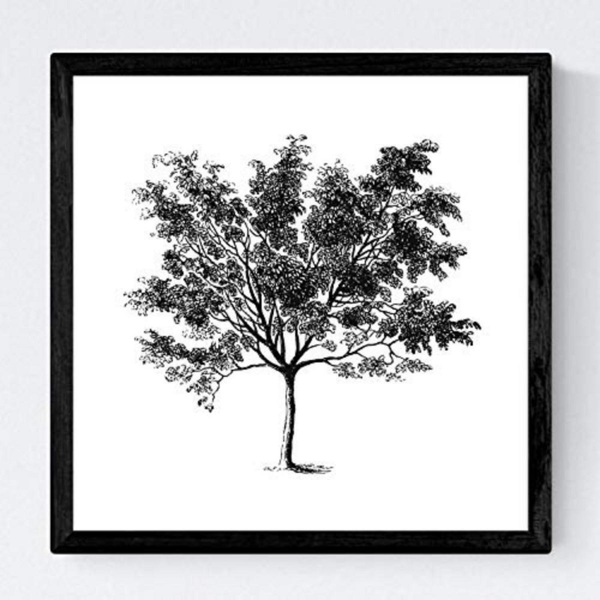 POSTER Set mit 4 Blättern der Bäume mittlerer weiß 20x20cm Schwarzer Rahmen - Schwarz, Papier (20/3cm) - Nacnic