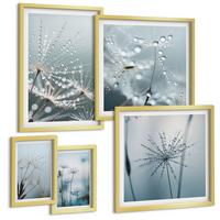 BILDER SET 5er Set - 50x50 cm & 20x30 cm & 40x60 cm Goldrahmen - Tautropfen auf Löwenzahn - Goldfarben, Kunststoff (40/60cm) - TULUP