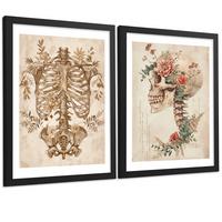 POSTER Set aus 2 Anatomie Mensch Drucke und Wandbilder mit Skelett Schädel Wirbelsäule Rippen Becken Klassischer Stil Größe Schwarzer Rahmen A3 - Schwarz, Papier (29.7/42/3cm) - Nacnic