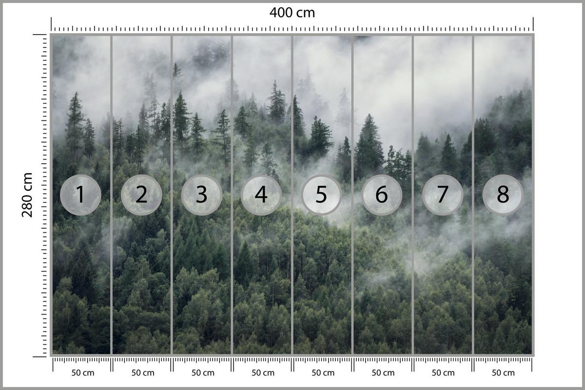 FOTOTAPETE für Schlafzimmer Morgennebel Nadelwald Bäume 400x280 - Weiß/Grau, Papier (400/280cm) - Muralo