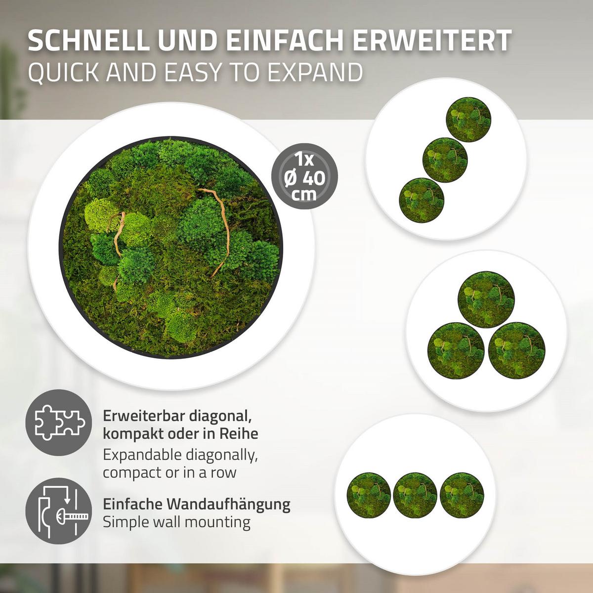 MOOSBILD Rund Ø 40 cm Mooswand Indoor mit echtem Kugelmoos-Flachmoos-Mix und Ästen Holzrahmen Grün - Dunkelgrün, Naturmaterialien (40/40/3cm) - ECD-Germany