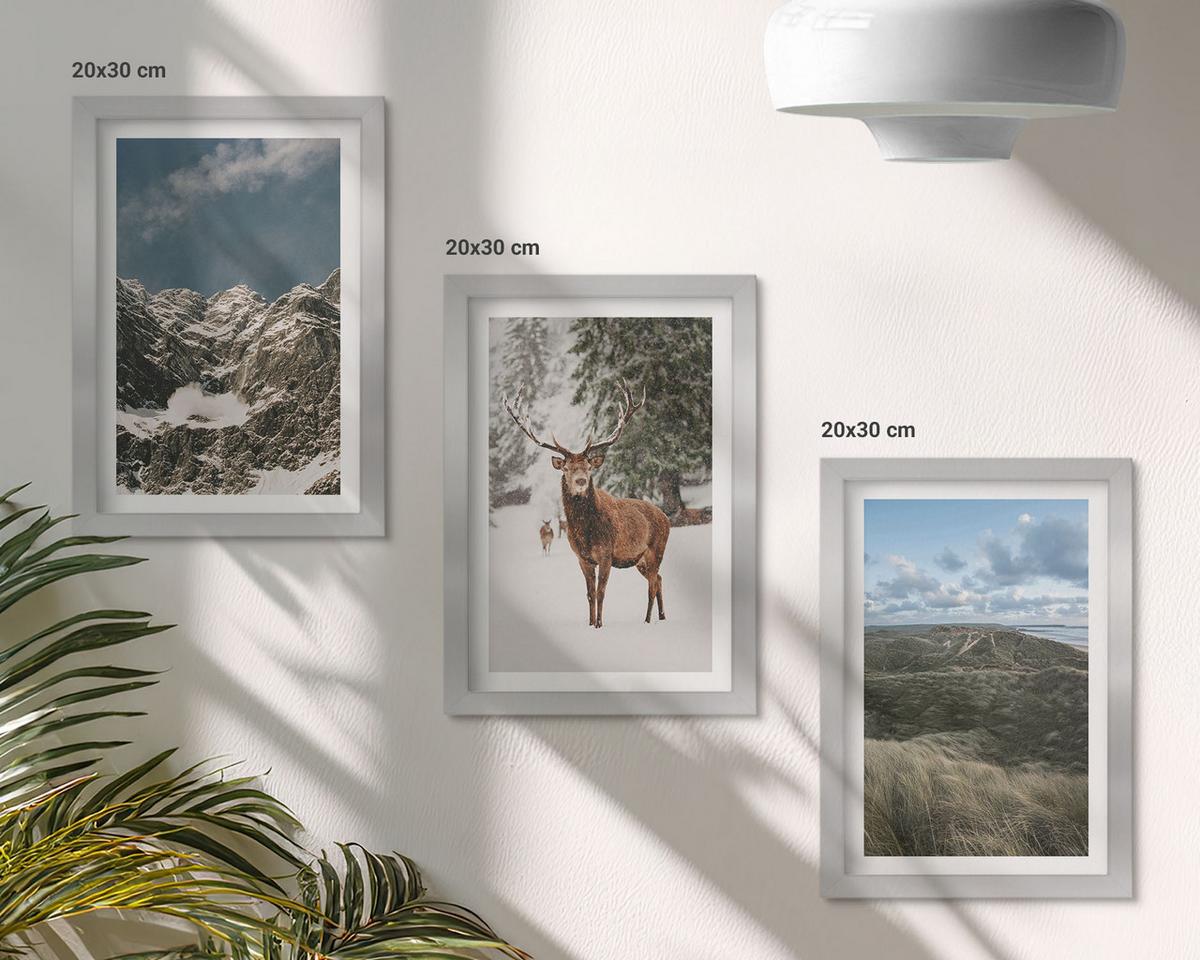 BILDER SET 3er Set - 20x30 cm Silberner Rahmen - Berge, Schnee, Hirsche, Waldlandschaft - Silberfarben, Kunststoff (20/30cm) - TULUP