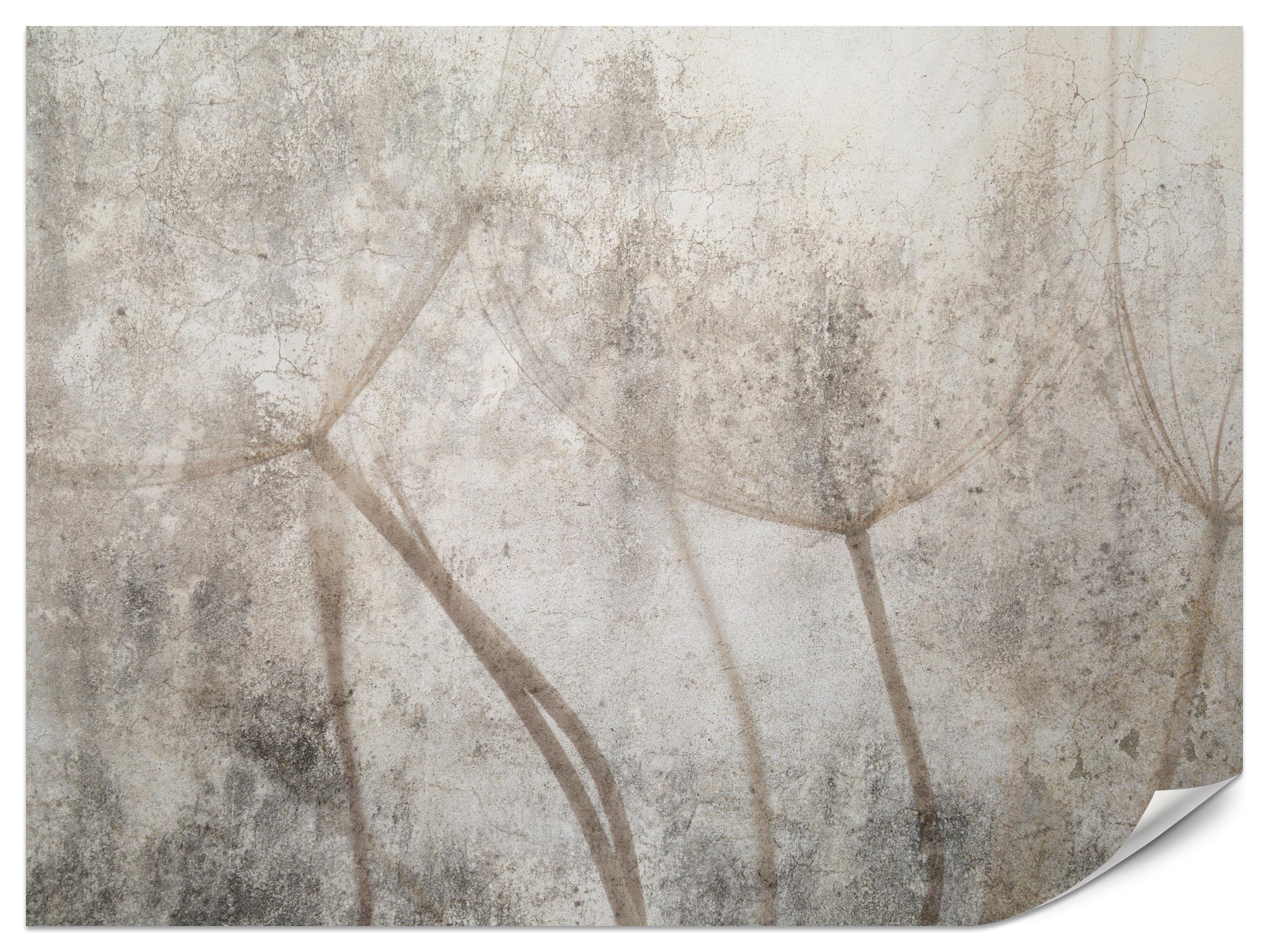 FOTOTAPETE für Wohnzimmer Zarter Skizze Löwenzahn Grauer Beton Minimalistisch 150x105 - Beige/Braun, Papier (150/105cm) - Muralo