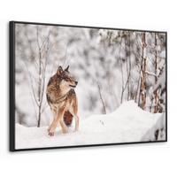 LEINWAND Bilder mit Rahmen - Wolf - Winter - Schnee - Natur - Tiere - 120x80 - Haselnussfarben, Textil (120/80cm) - MuchoWow
