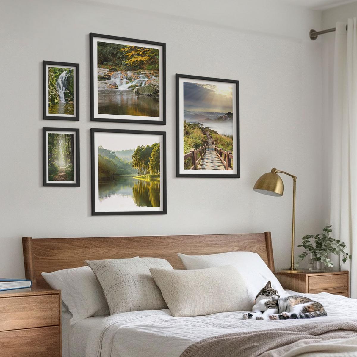BILDER SET 5er Set - 50x50 cm & 20x30 cm & 40x60 cm Schwarzer Rahmen - Grüne Blätter von eleganten Sukkulenten - Schwarz, Kunststoff (40/60cm) - TULUP