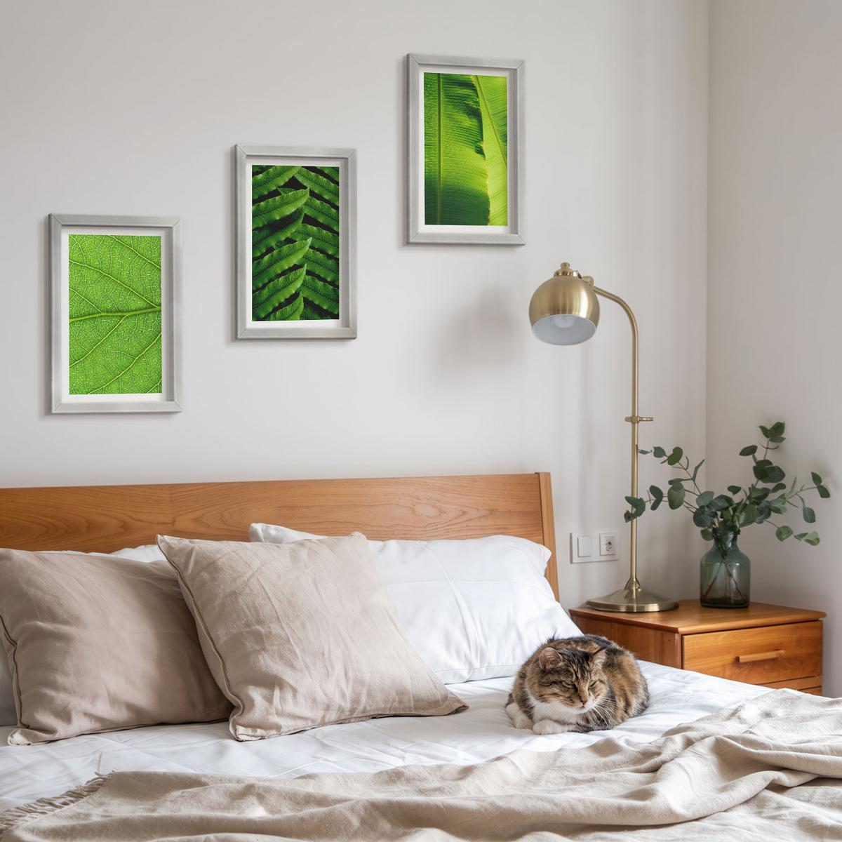 BILDER SET 3er Set - 20x30 cm Silberner Rahmen - Makrofotografie von tropischen Blättern - Silberfarben, Kunststoff (20/30cm) - TULUP