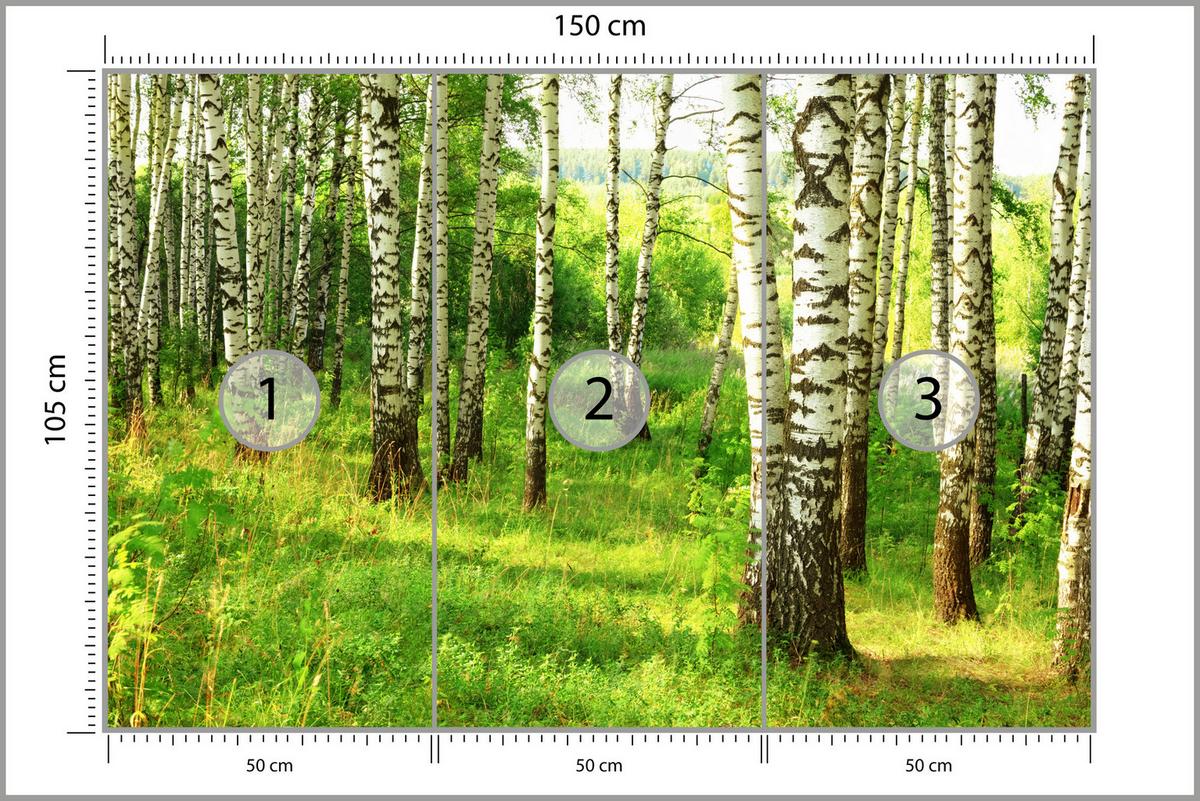 FOTOTAPETE für Esszimmer Birkenwald Bäume Natur 3D 150x105 - Schwarz/Braun, Papier (150/105cm) - Muralo