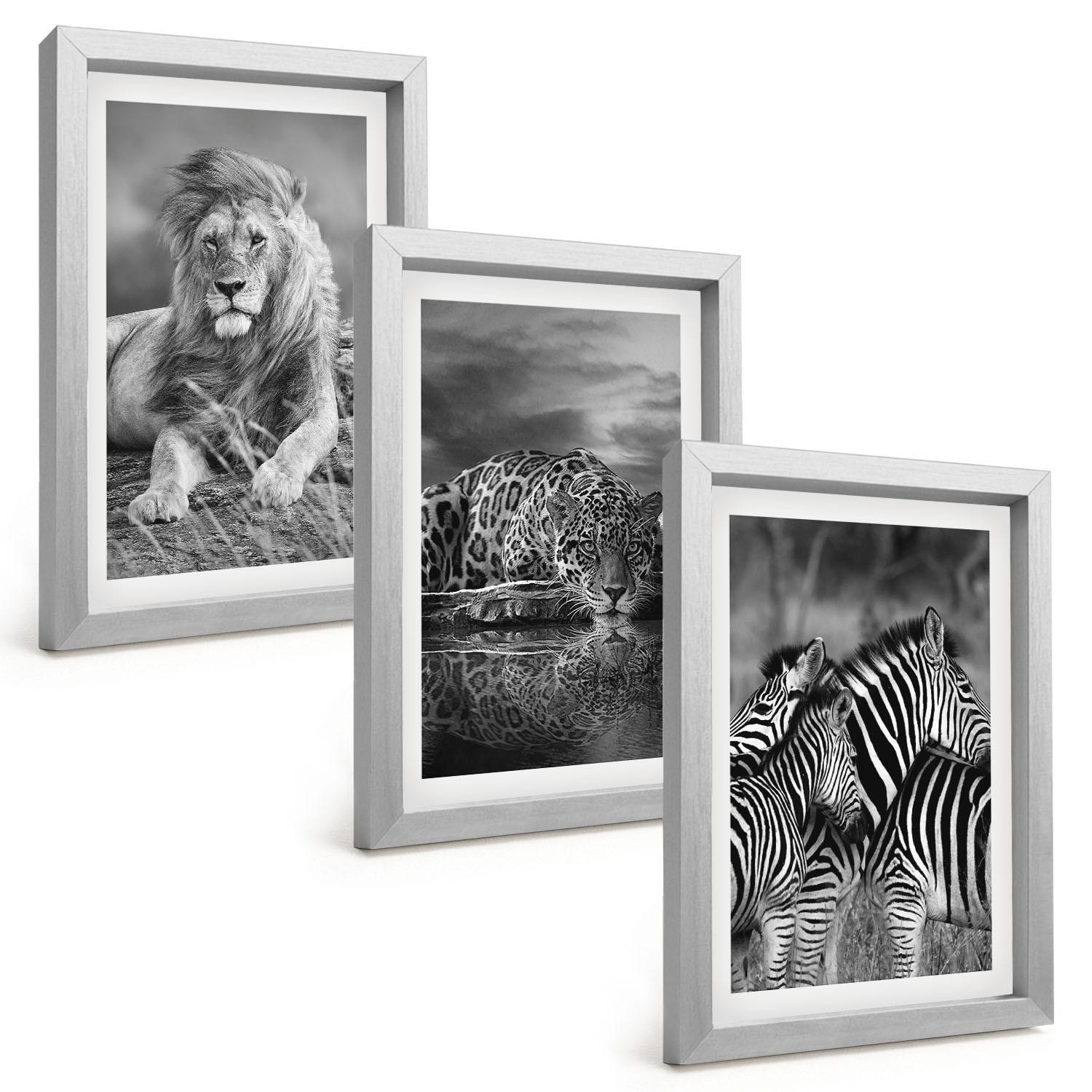 BILDER SET 3er Set - 20x30 cm Silberner Rahmen - Wildtiere der Savanne - Silberfarben, Kunststoff (20/30cm) - TULUP