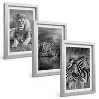 BILDER SET 3er Set - 20x30 cm Silberner Rahmen - Wildtiere der Savanne - Silberfarben, Kunststoff (20/30cm) - TULUP