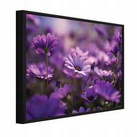 BILDER mit Rahmen Blumen Wiese Lila 120x80 cm - Multicolor, Holzwerkstoff (120/80cm) - Wallarena