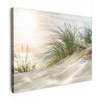 LEINWANDBILD Dünen mit Strandhafer in der Sonne des Nationalparks Schleswig-Holsteinisches Wattenmeer Wandbild 40x30 cm - Creme, Textil (40/30cm) - MuchoWow