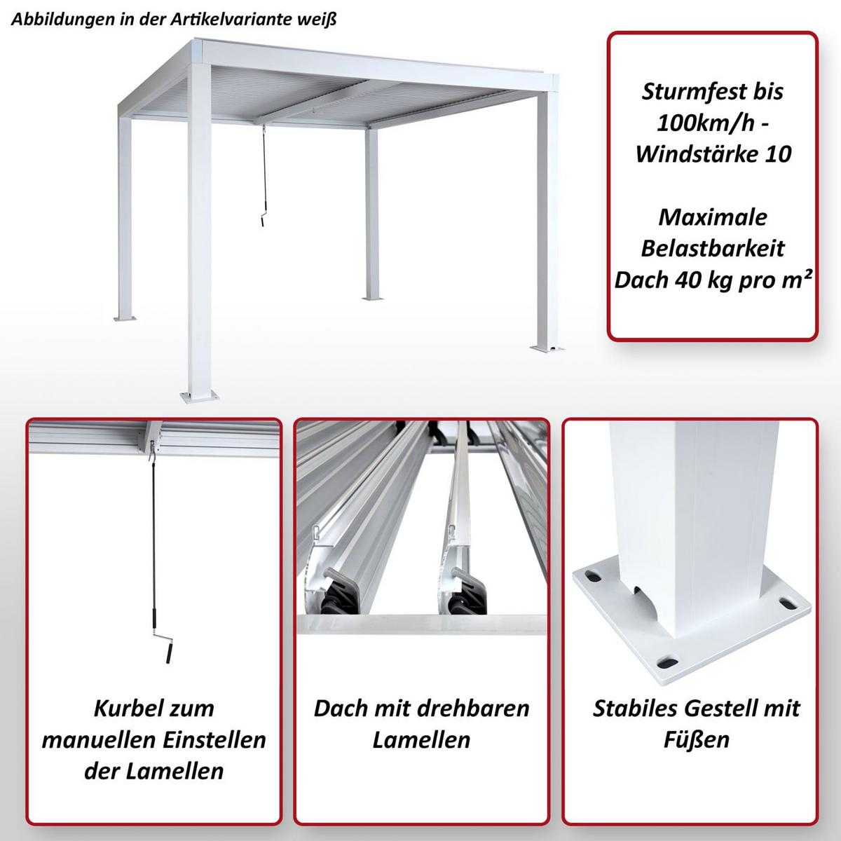 PERGOLA Braun - Braun, Metall (300/220/300cm) - MCW
