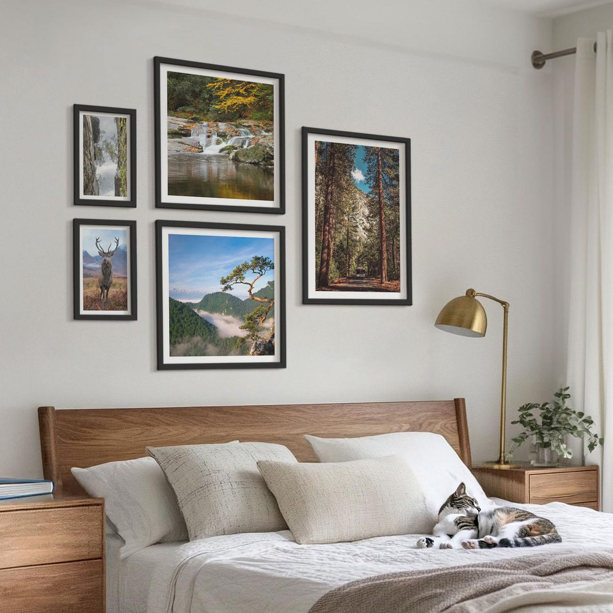 BILDER SET 5er Set - 50x50 cm & 20x30 cm & 40x60 cm Schwarzer Rahmen - Wasserfall Wald Berge Hirsch Natur - Schwarz, Kunststoff (40/60cm) - TULUP