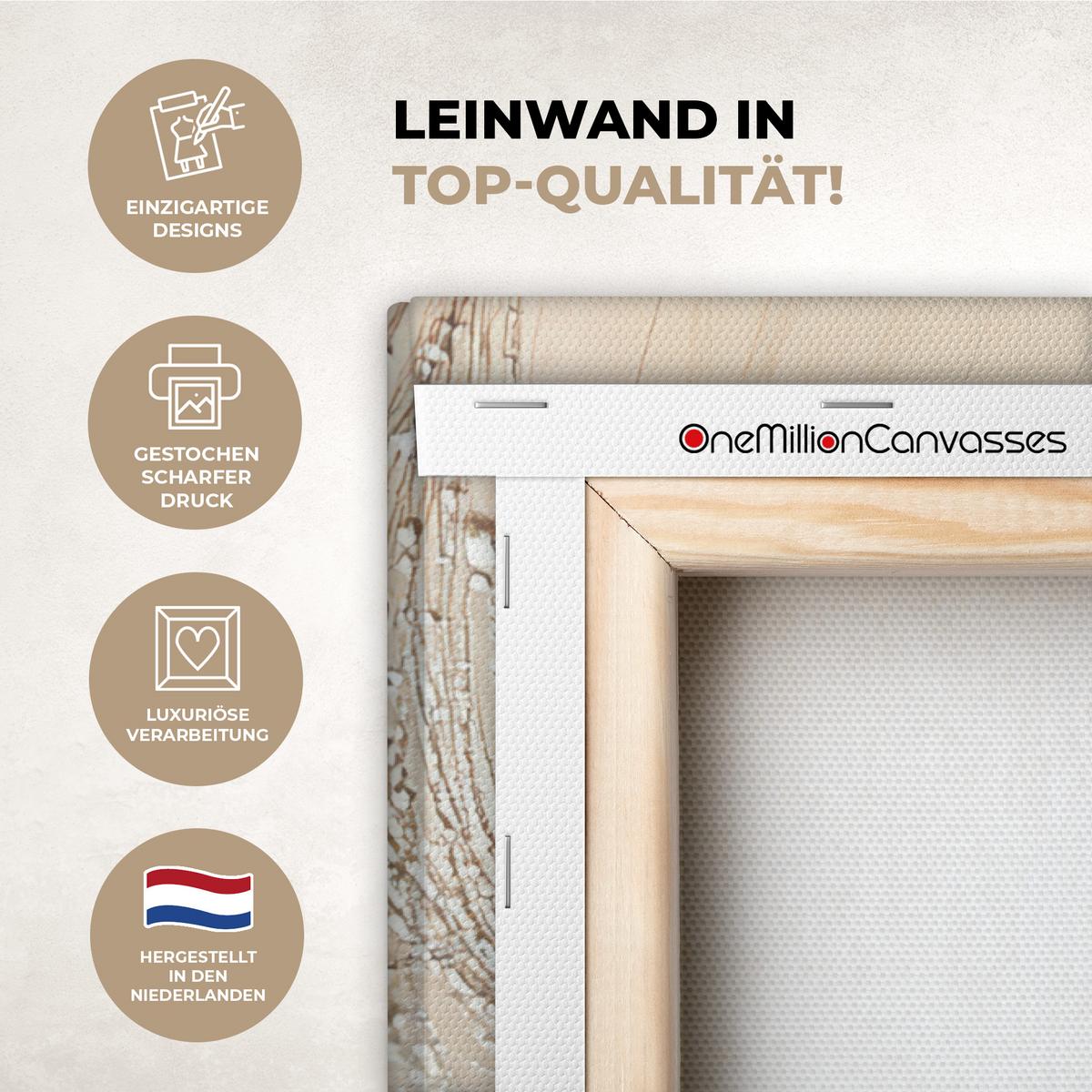 LEINWANDBILD Löwenzahn - Abstrakt - Natur - Beige Wanddeko 40x60 cm - Braun, Textil (40/60cm) - MuchoWow