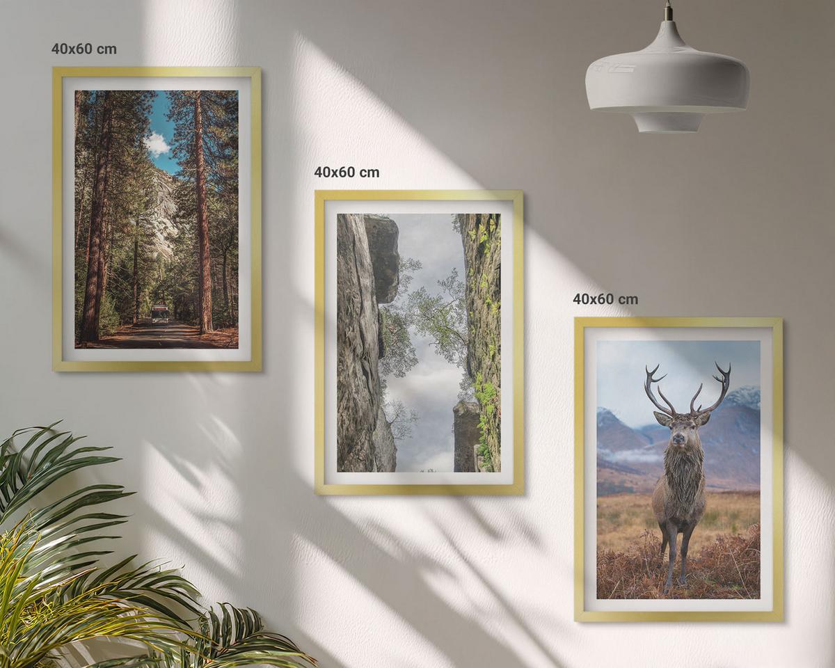 BILDER SET 3er Set - 40x60 cm Goldrahmen - Straße Wald Berge Hirsch Natur - Goldfarben, Kunststoff (40/60cm) - TULUP