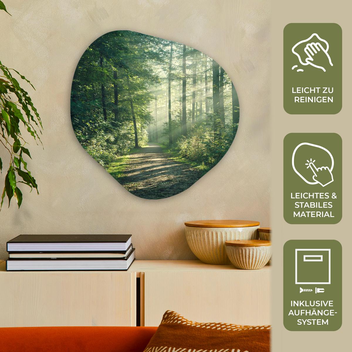 WANDBILD Wald - Weg - Sonne - Bäume - Grün - Natur Wandbild 60x60 cm - Waldgrün, Kunststoff (60/60cm) - MuchoWow