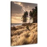 LEINWANDBILD Natur und Botanik 70x100cm - Beige, Textil (70/100cm) - Feeby