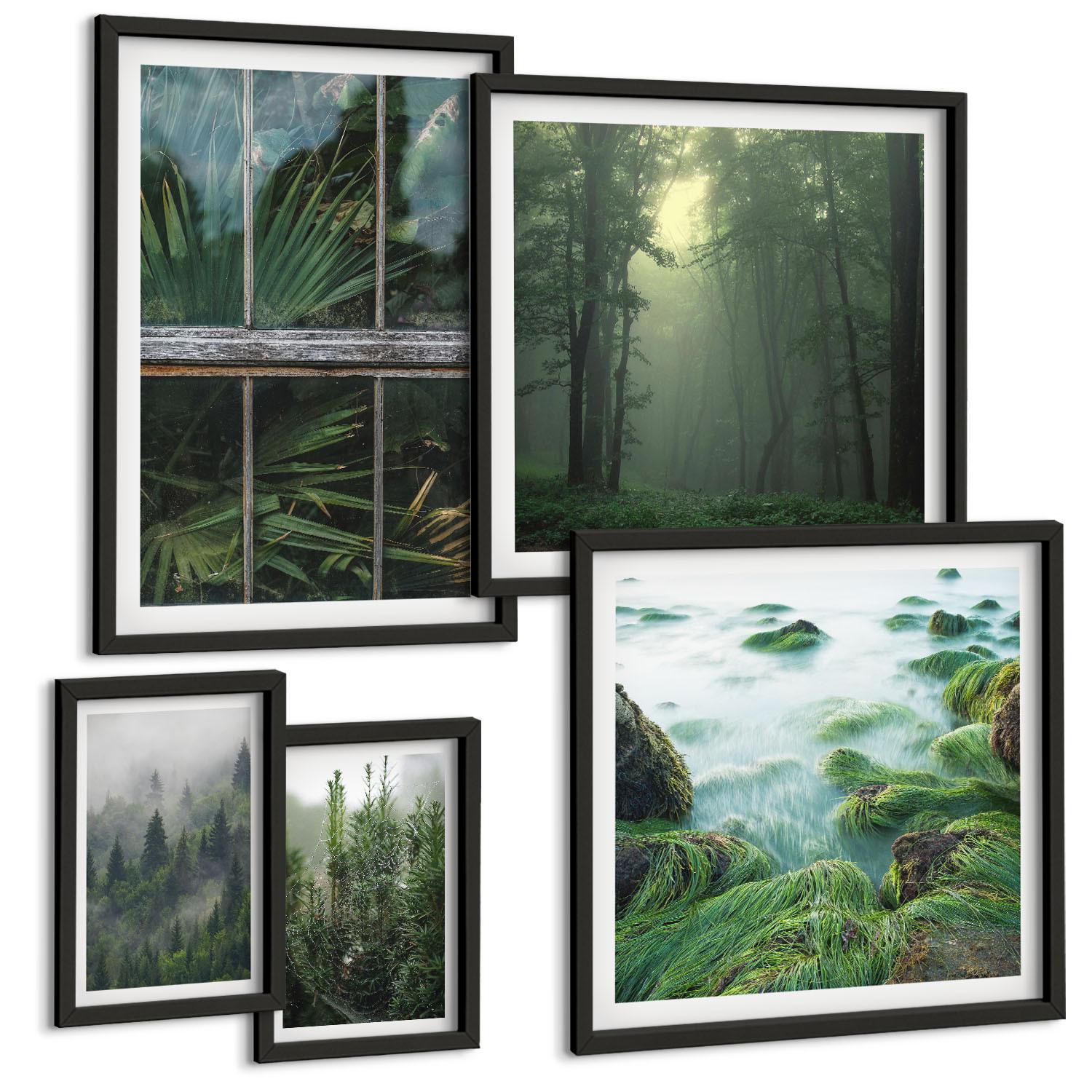 BILDER SET 5er Set - 50x50 cm & 20x30 cm & 40x60 cm Schwarzer Rahmen - Nahaufnahmen von Blättern sukkulenter Pflanzen - Schwarz, Kunststoff (40/60cm) - TULUP