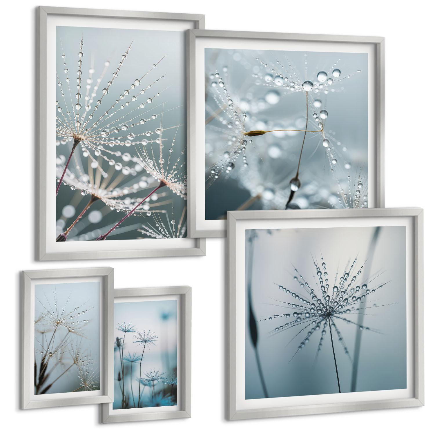 BILDER SET 5er Set - 50x50 cm & 20x30 cm & 40x60 cm Silberner Rahmen - Tautropfen auf Löwenzahn - Silberfarben, Kunststoff (40/60cm) - TULUP