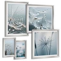 BILDER SET 5er Set - 50x50 cm & 20x30 cm & 40x60 cm Silberner Rahmen - Tautropfen auf Löwenzahn - Silberfarben, Kunststoff (40/60cm) - TULUP
