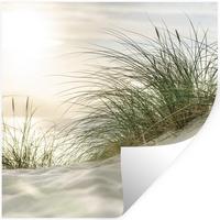 WANDTATTOO Dünen mit Strandhafer in der Sonne des Nationalparks Schleswig-Holsteinisches Wattenmeer Wanddeko 50x50 cm - Creme, Kunststoff (50/50/0.1cm) - MuchoWow