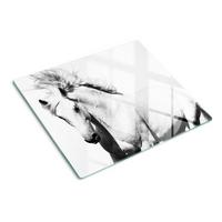 GLASPLATTE 60x52 cm Schimmel - Weiß, Glas (60/52cm) - TULUP