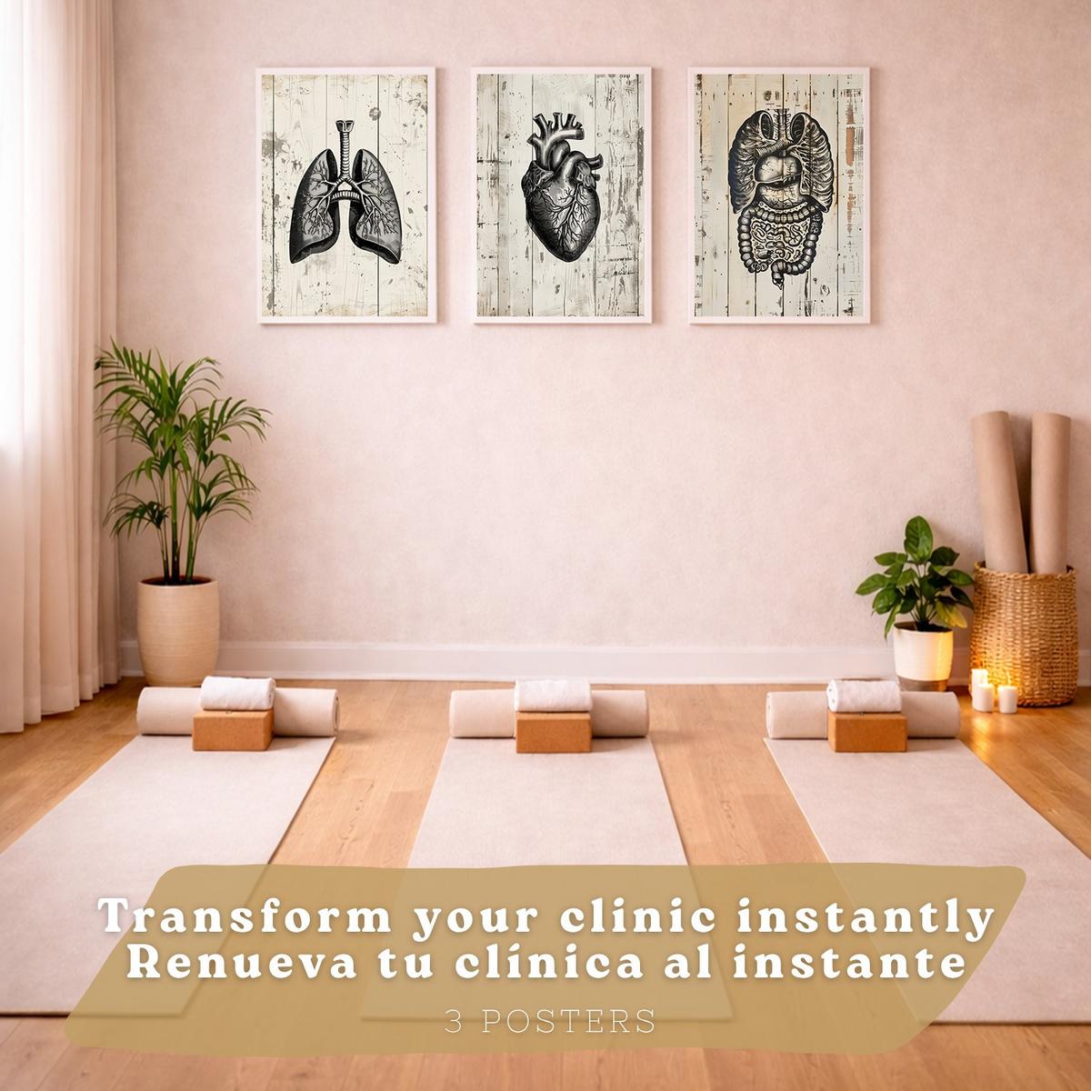 POSTER Set aus 3 Anatomie Mensch Drucke und Wandbilder mit Lungen Darm und Herz Rustikaler Stil Medizinische Wanddekoration Größe Weißer Rahmen A4 - Weiß, Papier (21/29.7/3cm) - Nacnic