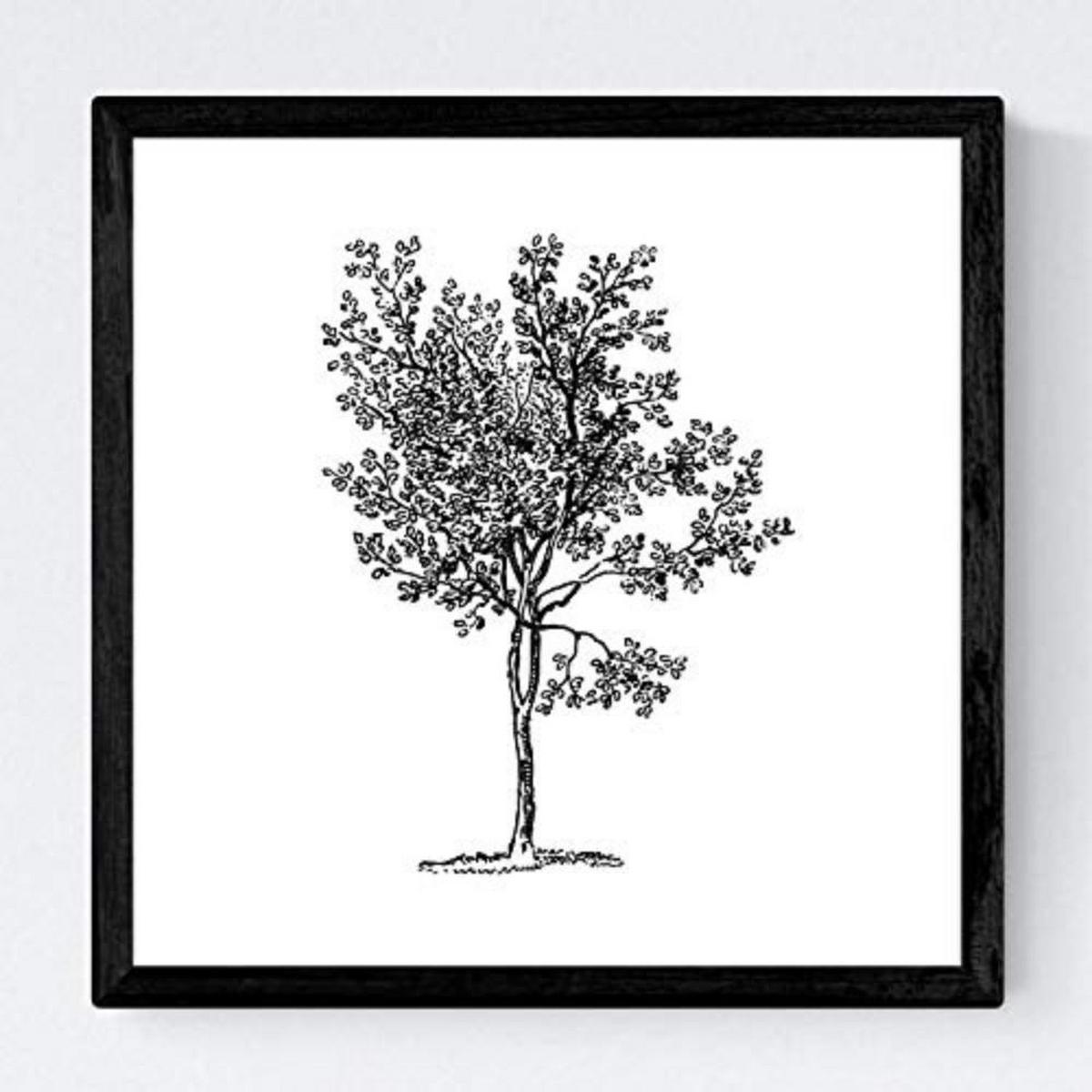 POSTER Set mit 4 Blättern der Grove, weiß 20x20cm Rahmenlos - Klar, Papier (20/3cm) - Nacnic