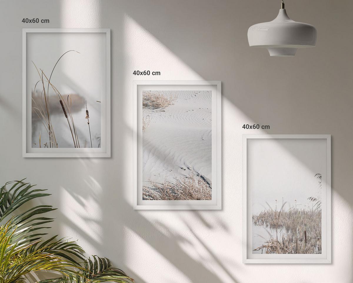 BILDER SET 3er Set - 40x60 cm Weißer Rahmen - Wasserpflanzen im Sommer - Weiß, Kunststoff (40/60cm) - TULUP