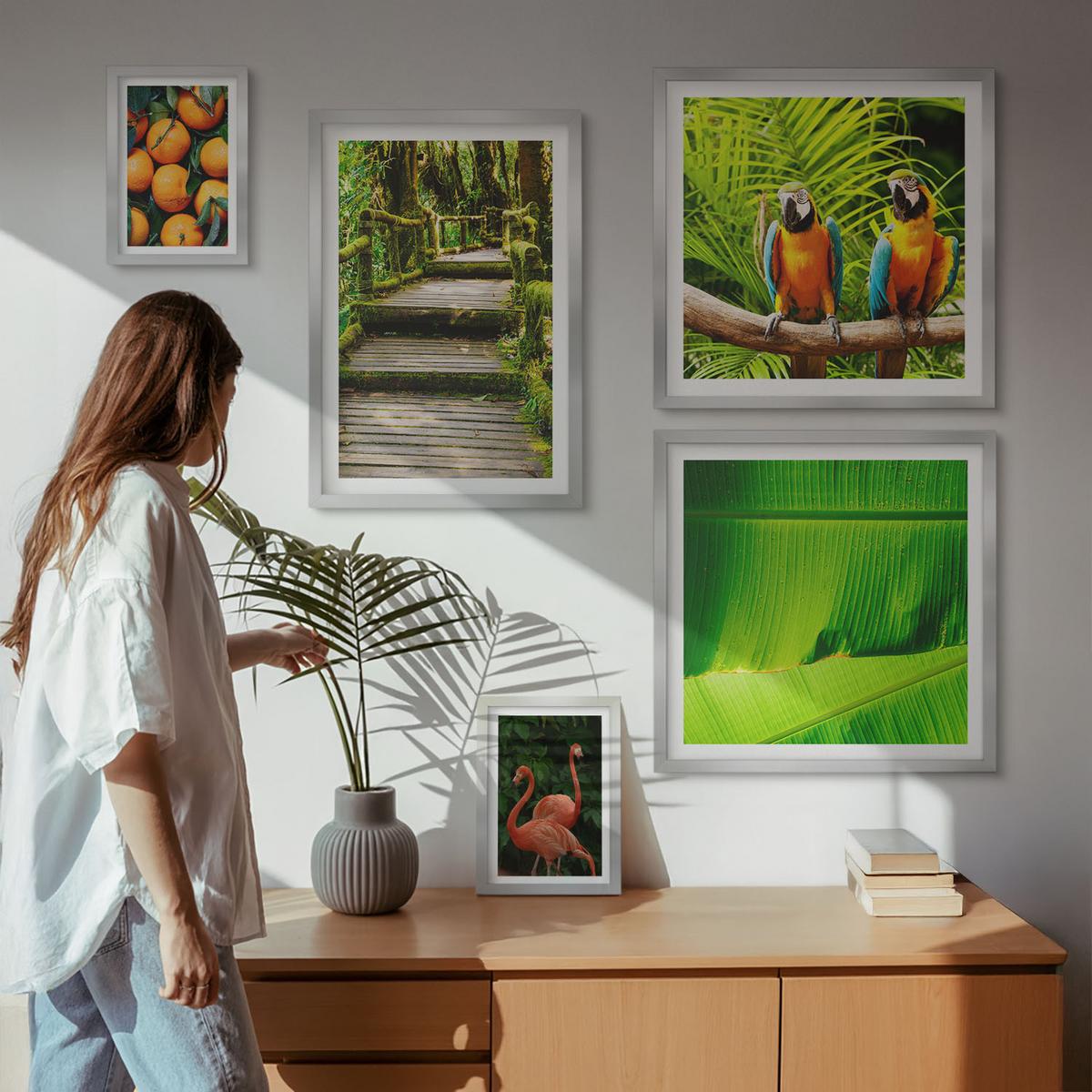 BILDER SET 5er Set - 50x50 cm & 20x30 cm & 40x60 cm Silberner Rahmen - Fruchtige Akzente der Tropen - Silberfarben, Kunststoff (40/60cm) - TULUP