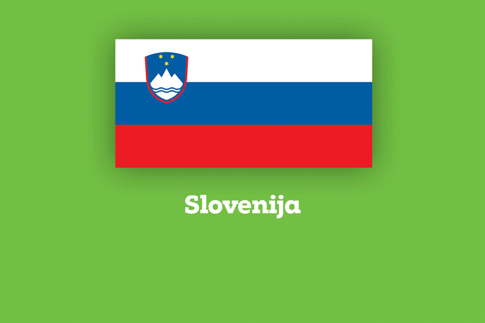 teaser-flagge-si.png
